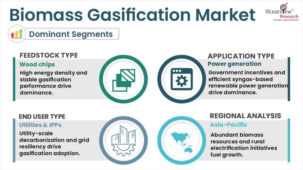 biomass gasification market segments